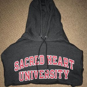 Champion School Fleece Hoodie